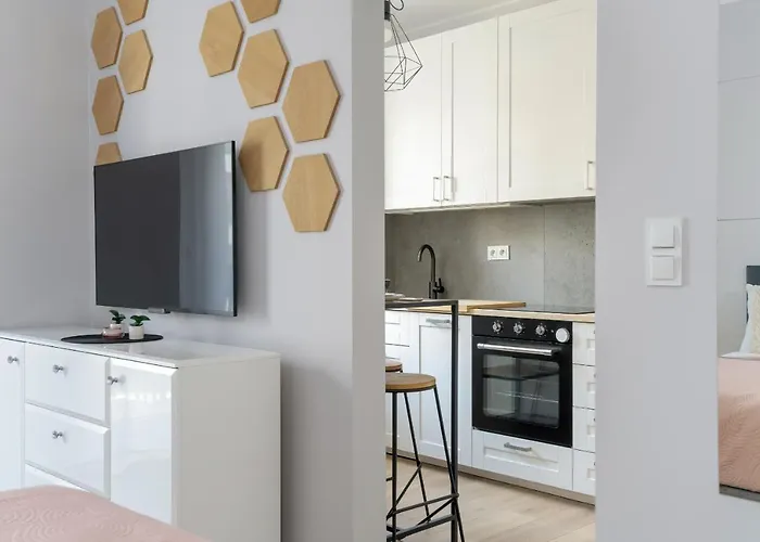 Lägenhet Stylish & Comfy Garbary With Parking By Renters *